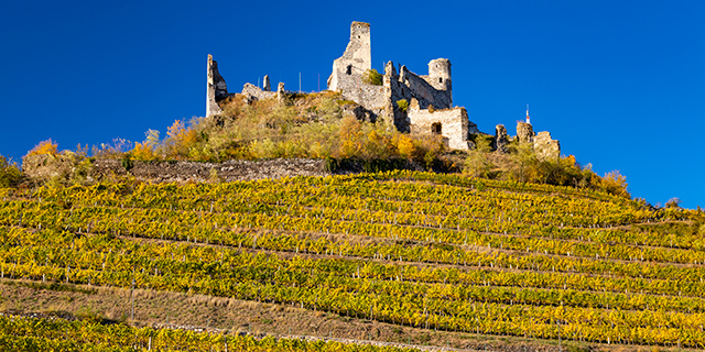 Tea by Mariage Frères — Cave Secrète - Erlesene Weine & Champagner in  Nuremberg